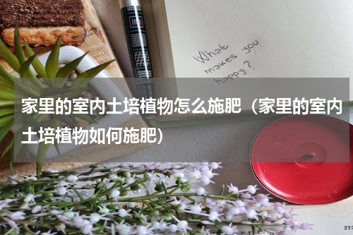家里的室内土培植物怎么施肥（家里的室内土培植物如何施肥）
