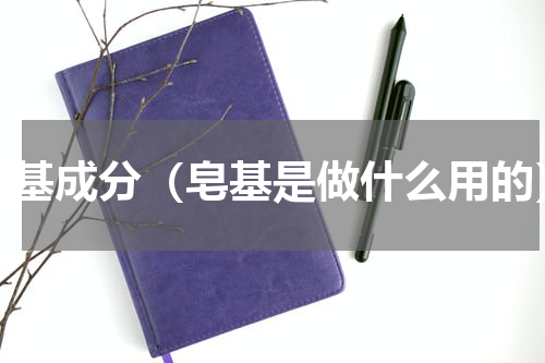 皂基成分（皂基是做什么用的）