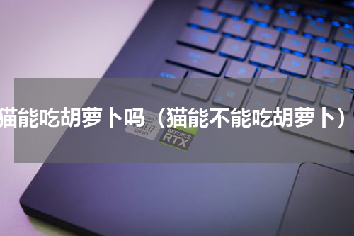 猫能吃胡萝卜吗（猫能不能吃胡萝卜）