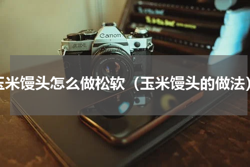 玉米馒头怎么做松软（玉米馒头的做法）