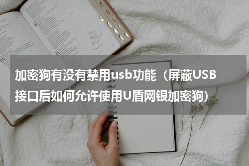 加密狗有没有禁用usb功能（屏蔽USB接口后如何允许使用U盾网银加密狗）