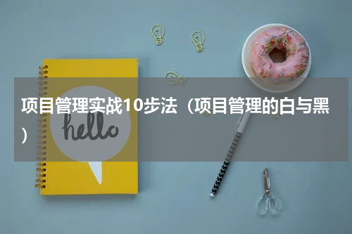 项目管理实战10步法（项目管理的白与黑）