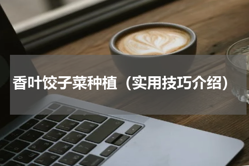 香叶饺子菜种植（实用技巧介绍）
