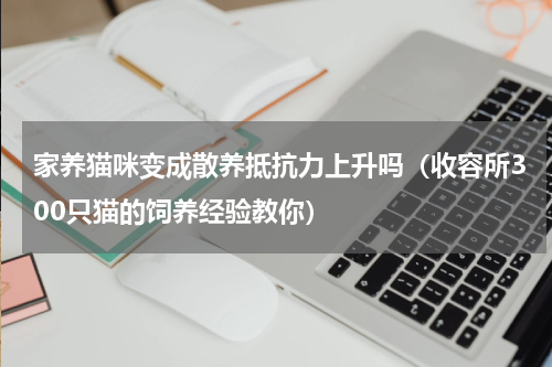 家养猫咪变成散养抵抗力上升吗（收容所300只猫的饲养经验教你）