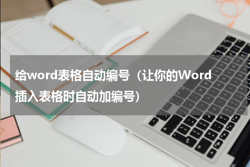 给word表格自动编号（让你的Word插入表格时自动加编号）