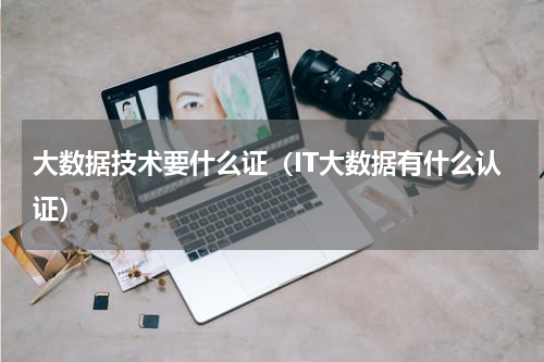 大数据技术要什么证（IT大数据有什么认证）