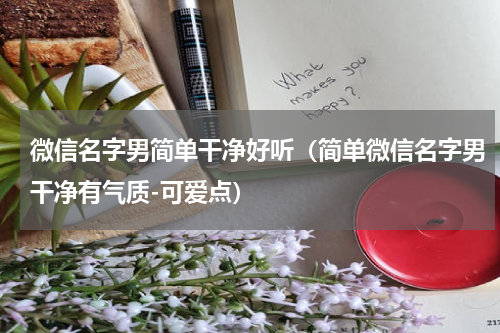 微信名字男简单干净好听（简单微信名字男干净有气质-可爱点）