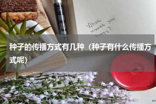 种子的传播方式有几种（种子有什么传播方式呢）