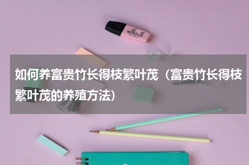如何养富贵竹长得枝繁叶茂（富贵竹长得枝繁叶茂的养殖方法）