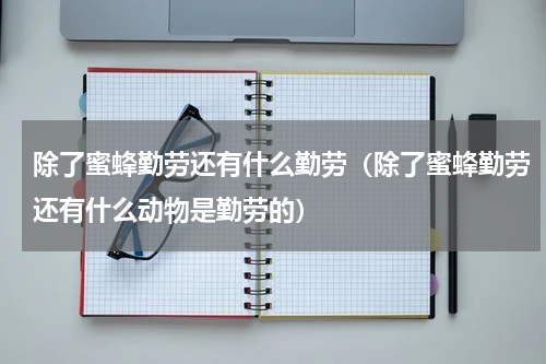 除了蜜蜂勤劳还有什么勤劳（除了蜜蜂勤劳还有什么动物是勤劳的）