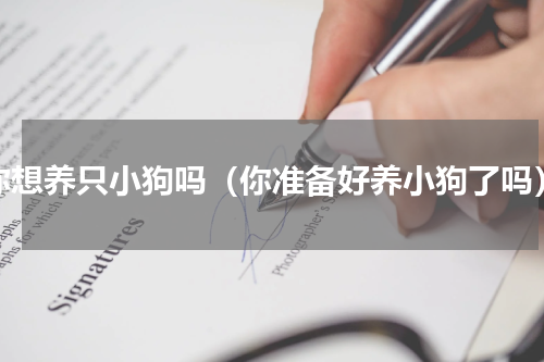 你想养只小狗吗（你准备好养小狗了吗）