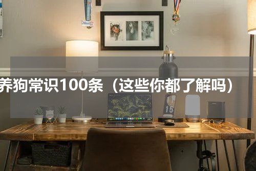 养狗常识100条（这些你都了解吗）