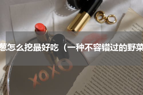 野葱怎么挖最好吃（一种不容错过的野菜）