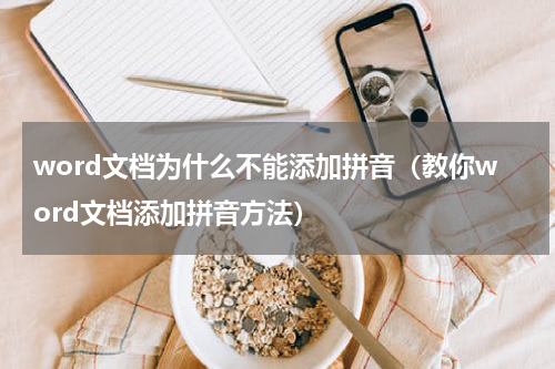 word文档为什么不能添加拼音（教你word文档添加拼音方法）