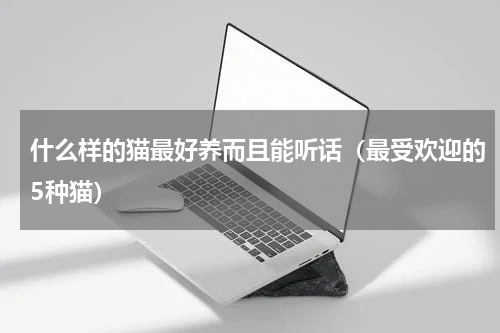 什么样的猫最好养而且能听话（最受欢迎的5种猫）