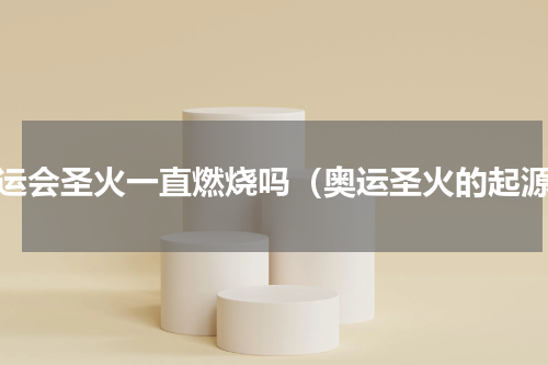 奥运会圣火一直燃烧吗（奥运圣火的起源）