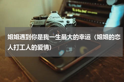姐姐遇到你是我一生最大的幸运（姐姐的恋人打工人的爱情）