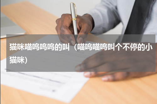 猫咪喵呜呜呜的叫（喵呜喵呜叫个不停的小猫咪）