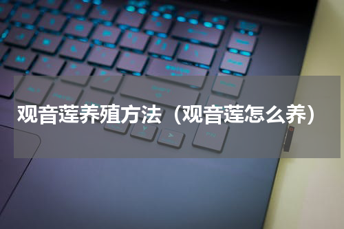 观音莲养殖方法（观音莲怎么养）