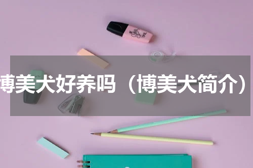 博美犬好养吗（博美犬简介）