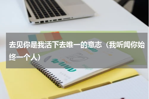 去见你是我活下去唯一的意志（我听闻你始终一个人）