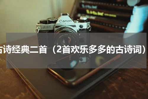 古诗经典二首（2首欢乐多多的古诗词）