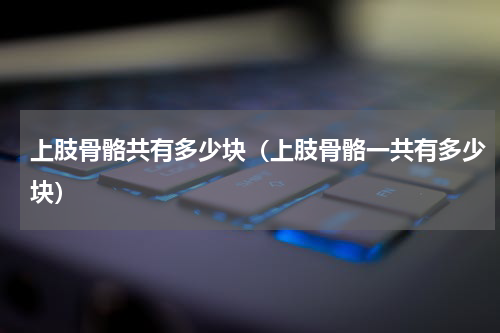 上肢骨骼共有多少块（上肢骨骼一共有多少块）