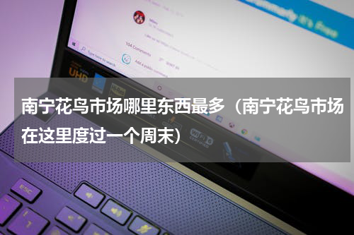 南宁花鸟市场哪里东西最多（南宁花鸟市场在这里度过一个周末）