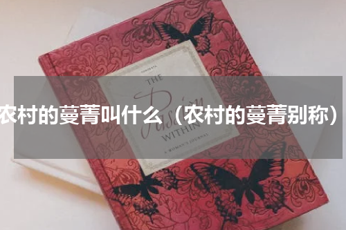 农村的蔓菁叫什么（农村的蔓菁别称）