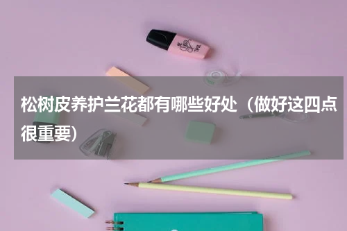 松树皮养护兰花都有哪些好处（做好这四点很重要）