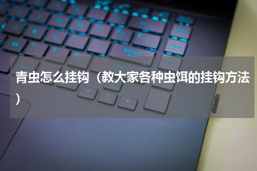 青虫怎么挂钩（教大家各种虫饵的挂钩方法）