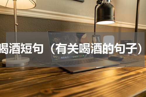 喝酒短句（有关喝酒的句子）
