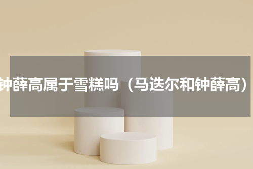 钟薛高属于雪糕吗（马迭尔和钟薛高）