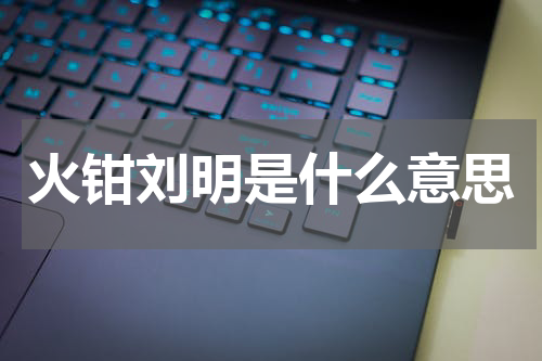 火钳刘明是什么意思