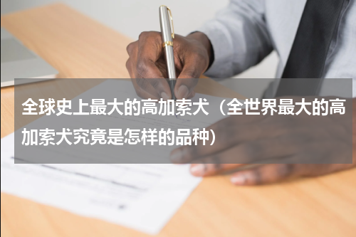 全球史上最大的高加索犬（全世界最大的高加索犬究竟是怎样的品种）