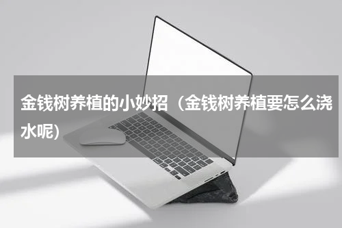 金钱树养植的小妙招（金钱树养植要怎么浇水呢）