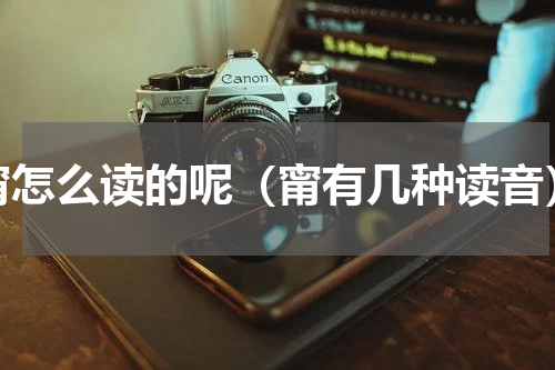 甯怎么读的呢（甯有几种读音）