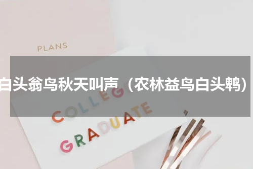 白头翁鸟秋天叫声（农林益鸟白头鹎）