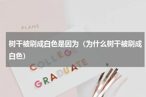 树干被刷成白色是因为（为什么树干被刷成白色）