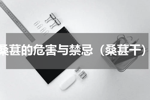 桑葚的危害与禁忌（桑葚干）