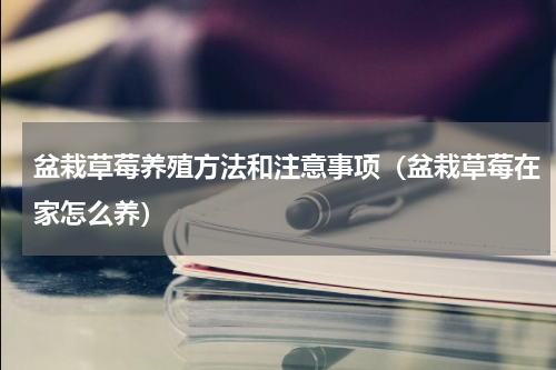 盆栽草莓养殖方法和注意事项（盆栽草莓在家怎么养）