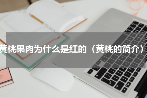 黄桃果肉为什么是红的（黄桃的简介）