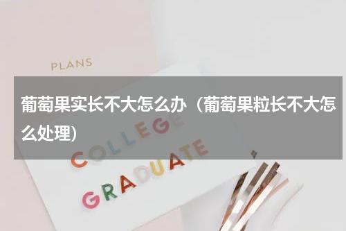 葡萄果实长不大怎么办（葡萄果粒长不大怎么处理）
