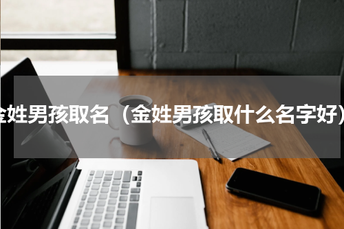 金姓男孩取名（金姓男孩取什么名字好）