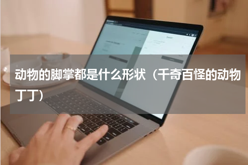 动物的脚掌都是什么形状（千奇百怪的动物丁丁）