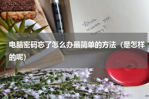 电脑密码忘了怎么办最简单的方法（是怎样的呢）