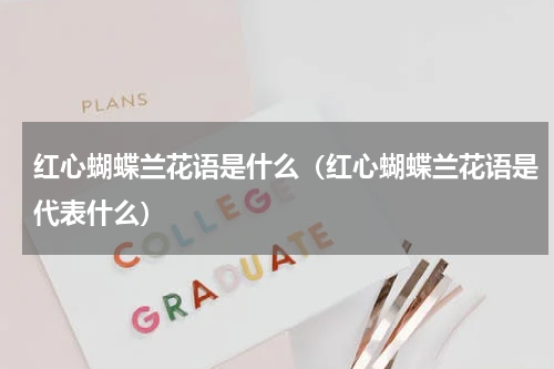 红心蝴蝶兰花语是什么（红心蝴蝶兰花语是代表什么）