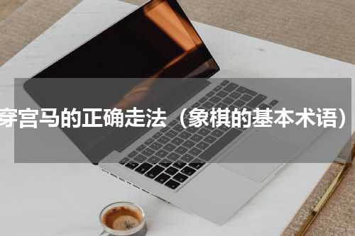穿宫马的正确走法（象棋的基本术语）