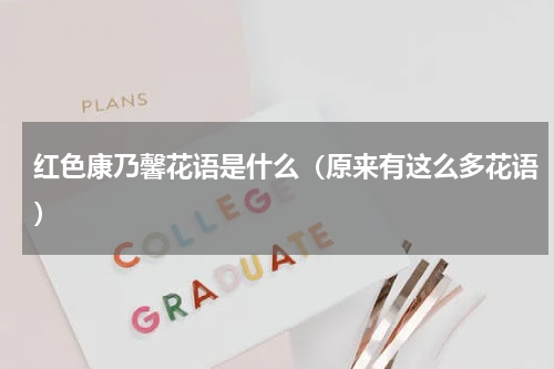 红色康乃馨花语是什么（原来有这么多花语）