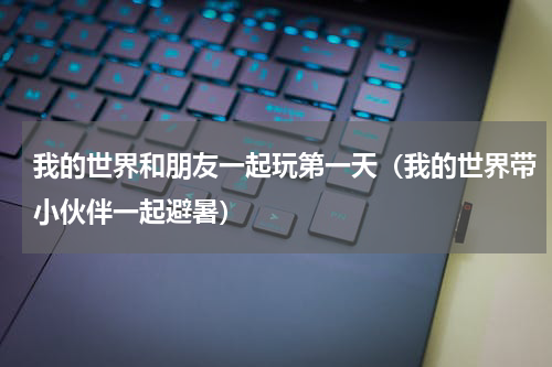 我的世界和朋友一起玩第一天（我的世界带小伙伴一起避暑）